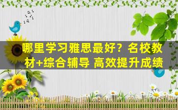 哪里学习雅思最好？名校教材+综合辅导 高效提升成绩